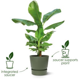 elho greenville Topf rund 25 cm