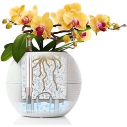 Lechuza Tischgefäß PURO Color 20 - schiefergrau