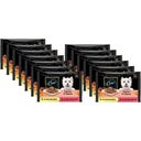 Selektion in Sauce Huhn&Gemüse, Rind&Karotten, 4x100g