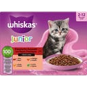 Multipack 12x85g Klassische Auswahl in Sauce Junior, 1.020 g