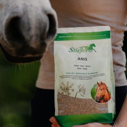 Stiefel Anis, ganze Samen