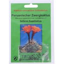 TROPICA Peruanischer Zwergkaktus
