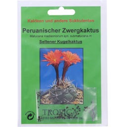 TROPICA Peruanischer Zwergkaktus