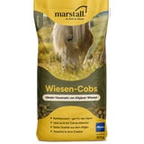 Marstall Wiesen-Cobs