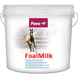 Pavo Fohlenmilch - 10 kg
