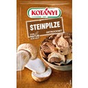 KOTÁNYI Steinpilze - 20 g