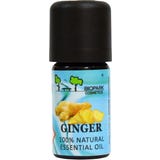 Biopark Cosmetics Ginger Essential Oil