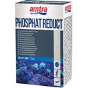 Amtra Phosphat Reduct - 250ml