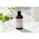 Evolve Organic Beauty Superfood Shine Conditioner - 250 ml