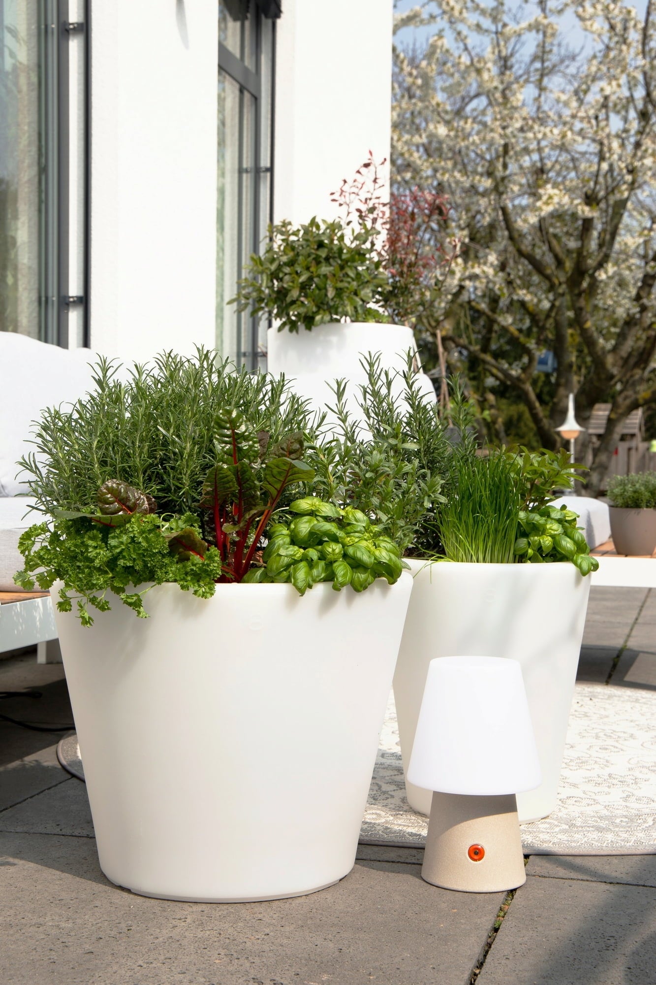 8 seasons design Shining Pot 