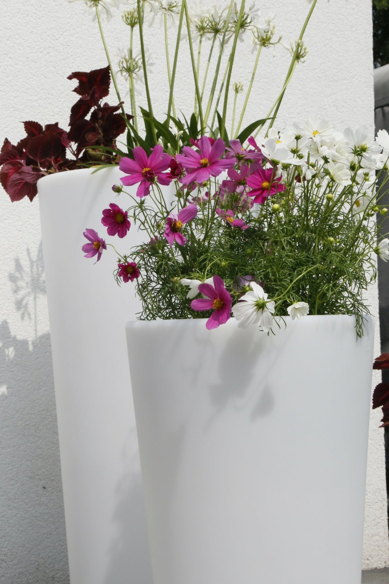 8 seasons design Shining Pot 