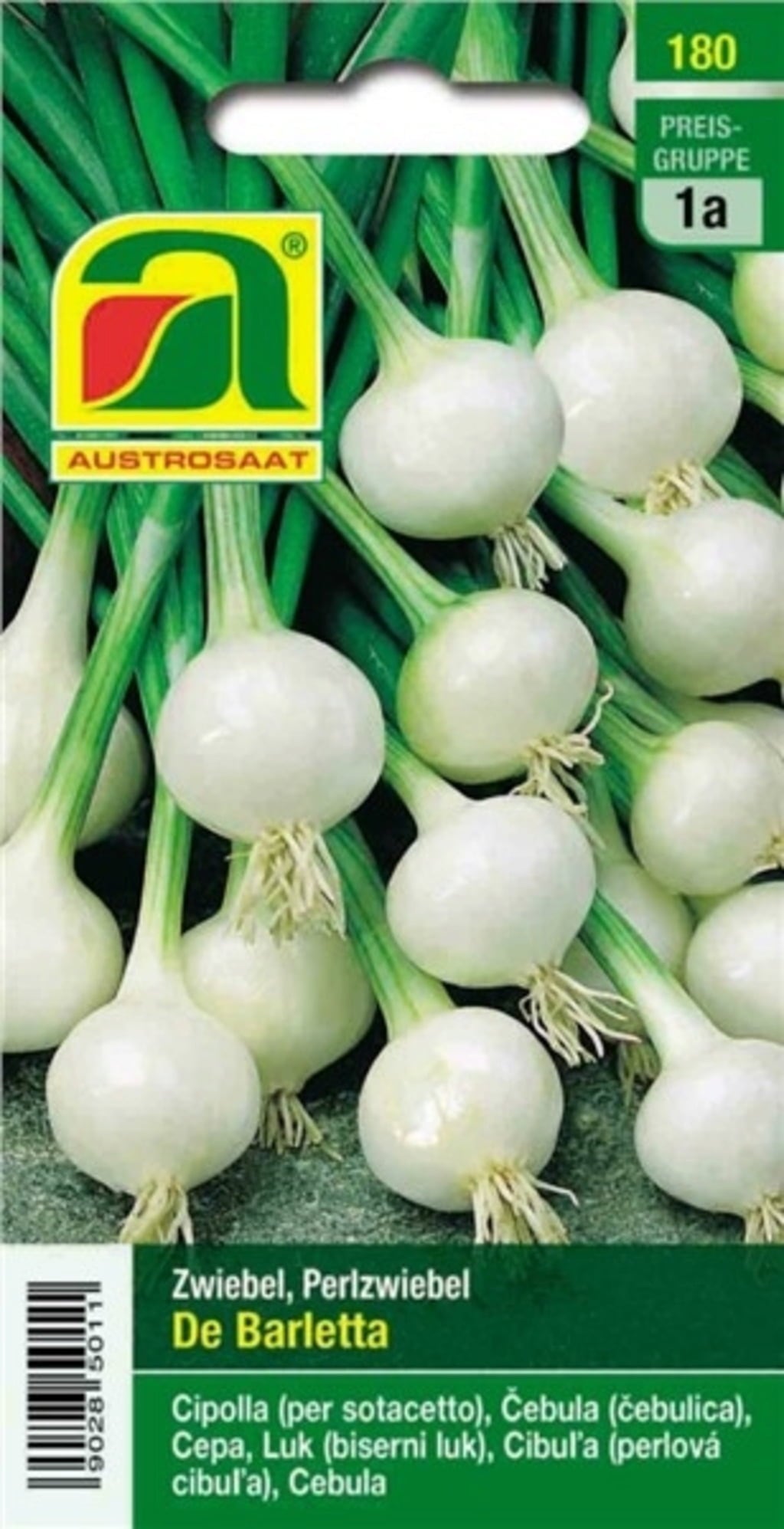 Perlzwiebel 