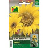 AUSTROSAAT Helianthus "Pacino" Mischung