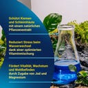 Tetra AquaSafe - 100ml
