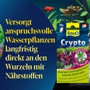Tetra Crypto - 30 Tabletten