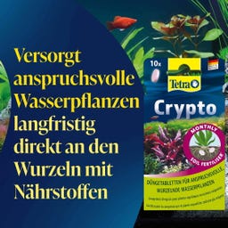 Tetra Crypto - 30 Tabletten