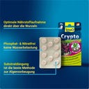 Tetra Crypto - 30 Tabletten