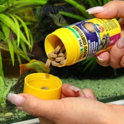 JBL Pronovo Corydoras Tab M - 100ml