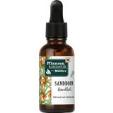 Pflanzenkosmetik von M&uuml;ller Sanddorn-Gesichts&ouml;l