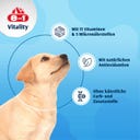 8in1 Multi Vitamin Tabletten - Welpen - 1 Stk