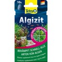 Tetra Algizit - 10 Stk