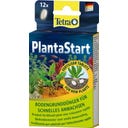 Tetra PlantaStart - 12 Tabletten