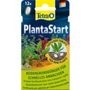 Tetra PlantaStart - 12 Tabletten