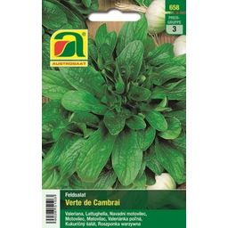 AUSTROSAAT Feldsalat Verte de Cambrai - 1 Pkg