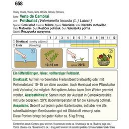 AUSTROSAAT Feldsalat Verte de Cambrai - 1 Pkg