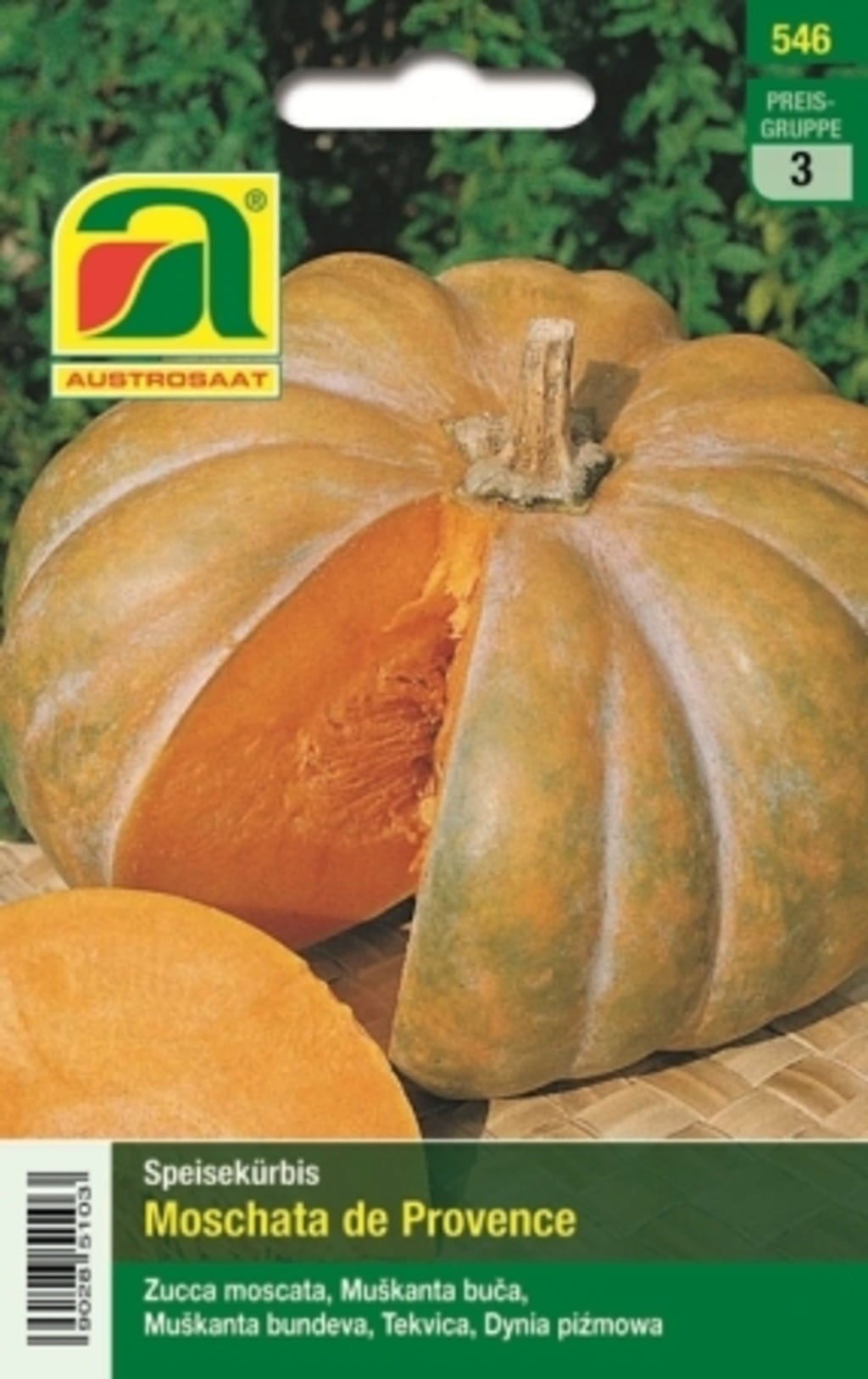 AUSTROSAAT Kürbis 