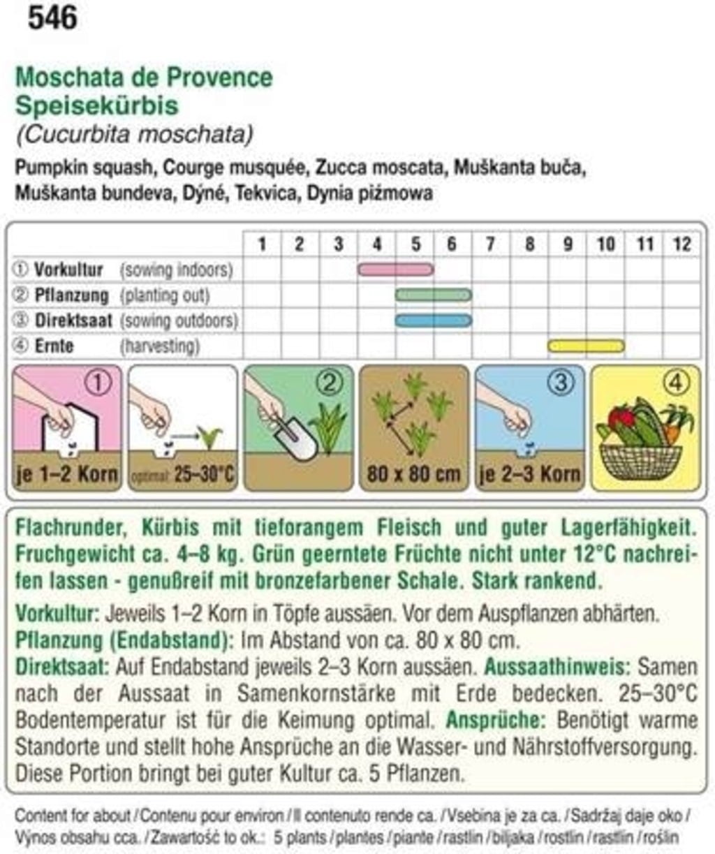 AUSTROSAAT Kürbis 