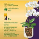 Seramis Spezial-Substrat für Orchideen - 7 l