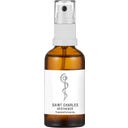 SAINT CHARLES Apotheker Yogamattenspray - 250 ml