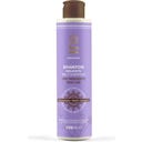Rasayana Mild Shampoo - 200 ml
