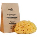 Najel Naturschwamm - 9-10 cm