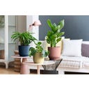 elho vibes fold rund 16 cm