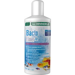 Dennerle Bacto Elixier FB7 - 250 ml