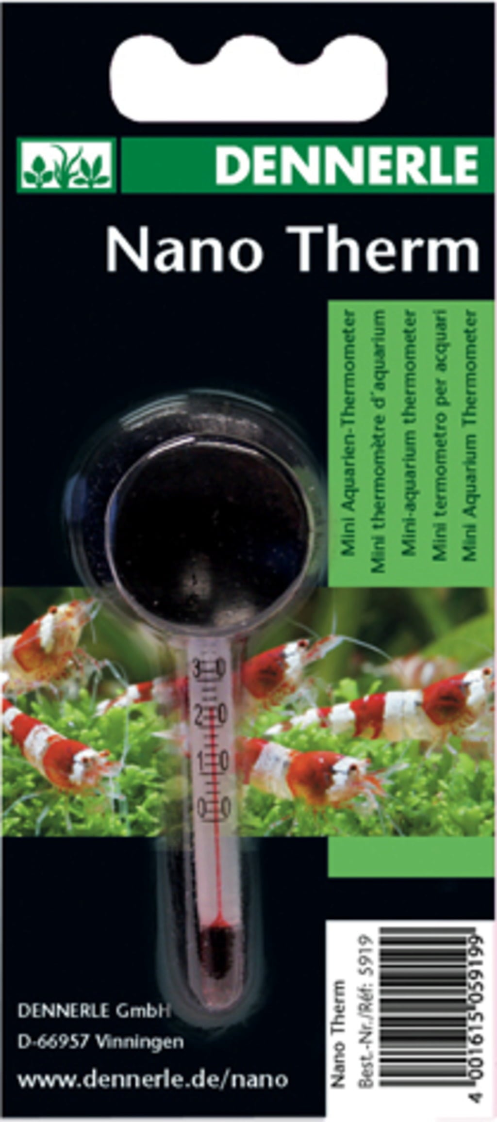 Nano Thermometer
