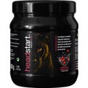 Headstart Focus Plus Pulver - Waldbeere - 500 g