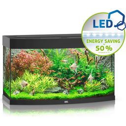 Juwel Vision 180 LED Aquarium - schwarz