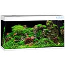 Juwel Rio 350 LED Aquarium - weiß