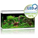 Juwel Rio 350 LED Aquarium - weiß