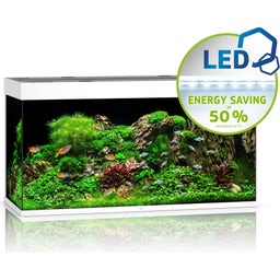 Juwel Rio 350 LED Aquarium - weiß