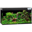 Juwel Rio 350 LED Aquarium - schwarz