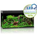 Juwel Rio 350 LED Aquarium - schwarz