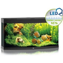 Juwel Vision 260 LED Aquarium - schwarz