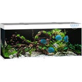 Juwel Rio 450 LED Aquarium