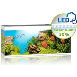 Juwel Rio 450 LED Aquarium - weiß