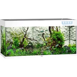 Juwel Rio 180 LED Aquarium - weiß