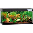 Juwel Rio 240 LED Aquarium - schwarz